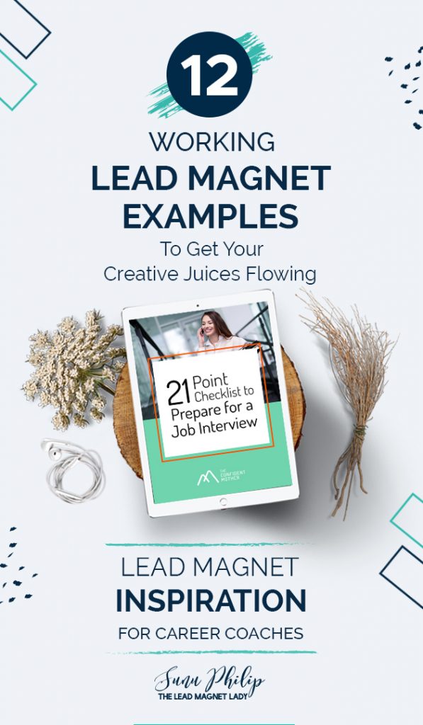 Lead Magnet Inspiration for Career Coaches: 12 Working Lead Magnet Examples  to Get Your Creative Juices Flowing - The Lead Magnet Lady